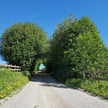 Jomfruburet Og Drengestua Gran